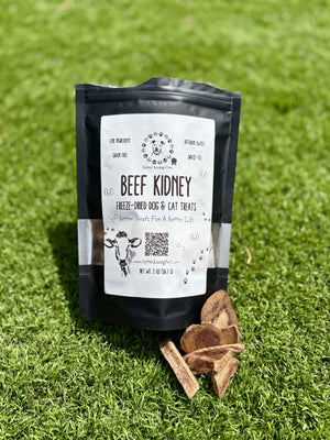 Bag of beef kidney freeze-dried dog and cat treats on grass