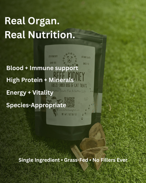 Package of Reef Kidney pet treats on grass with text about nutrition and ingredients.